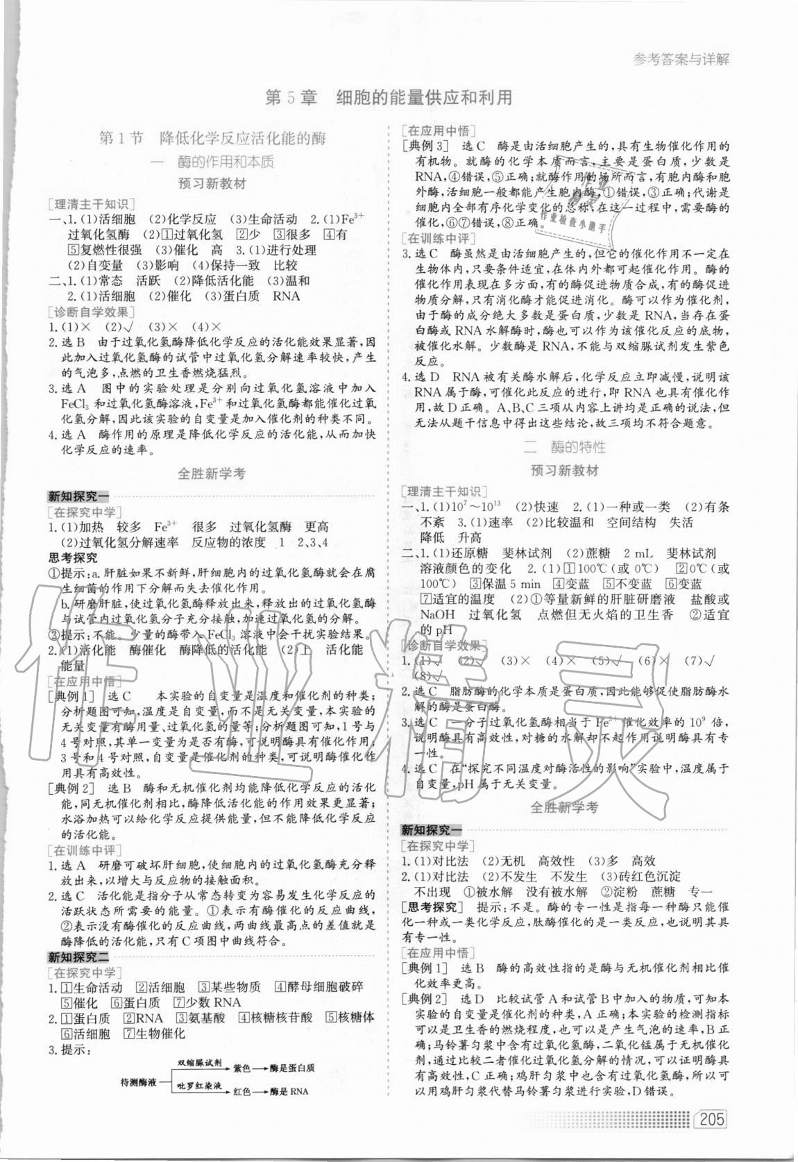 2020年同步训练高中生物必修1分子与细胞河北人民出版社 第13页