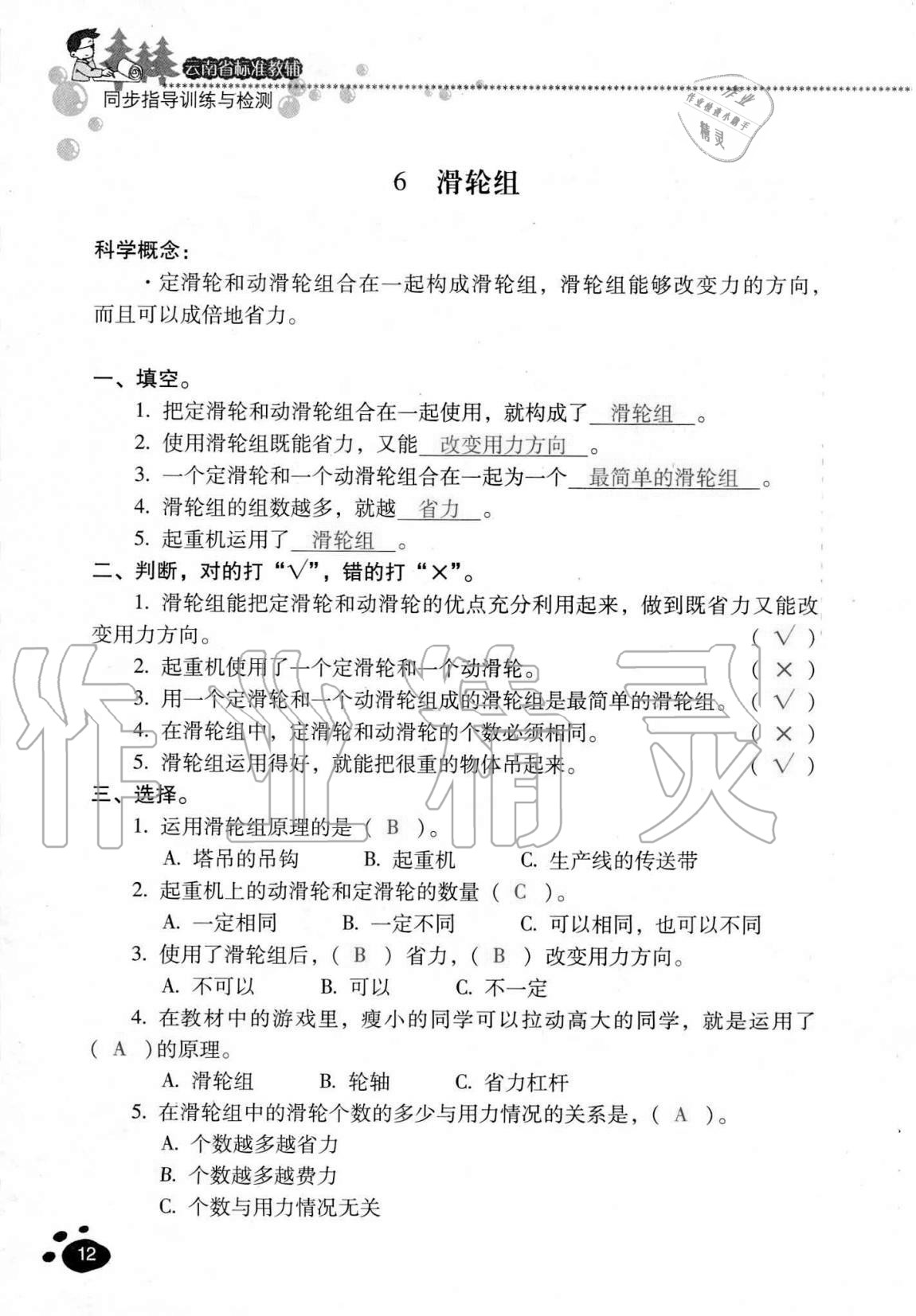 2020年云南省标准教辅同步指导训练与检测六年级科学上册教科版 第11页