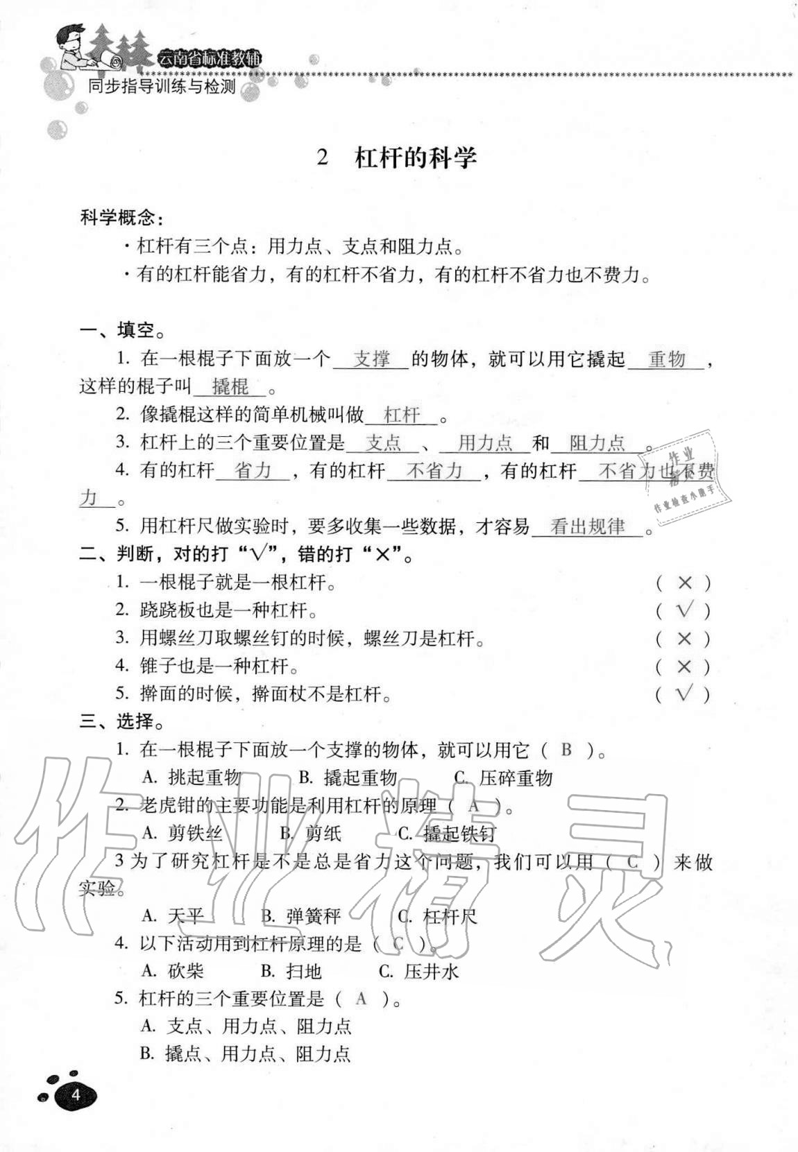 2020年云南省标准教辅同步指导训练与检测六年级科学上册教科版 第3页