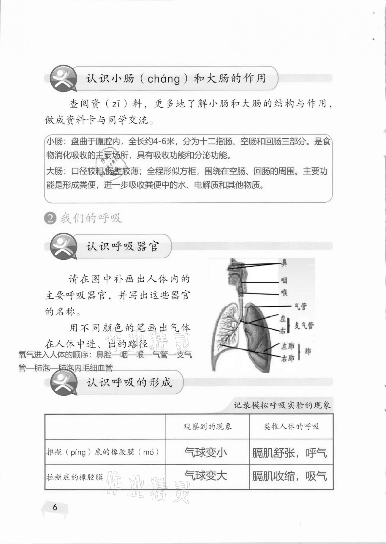 2020年科学学生活动手册四年级上册湘科版 第6页