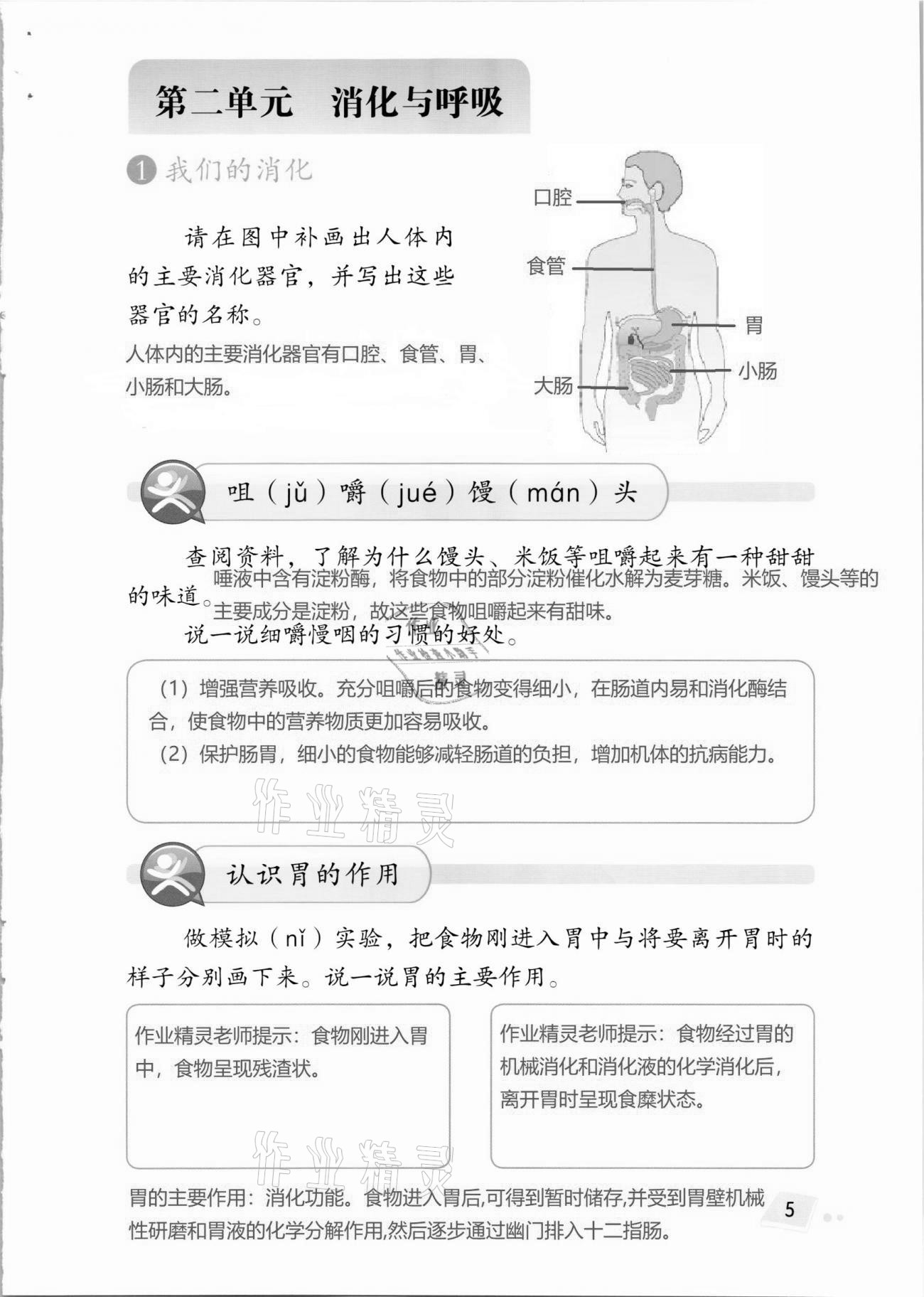 2020年科学学生活动手册四年级上册湘科版 第5页