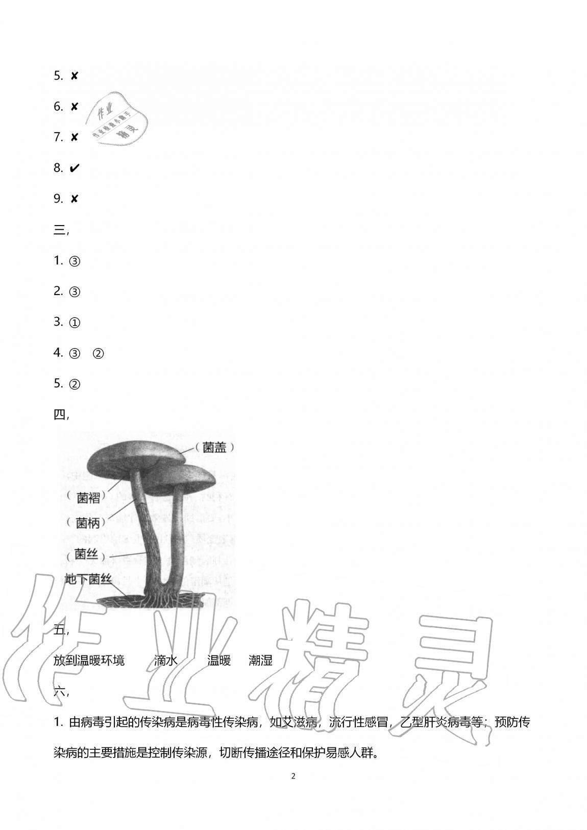 2020年小学能力素养自主检测六年级科学上册青岛版 第2页