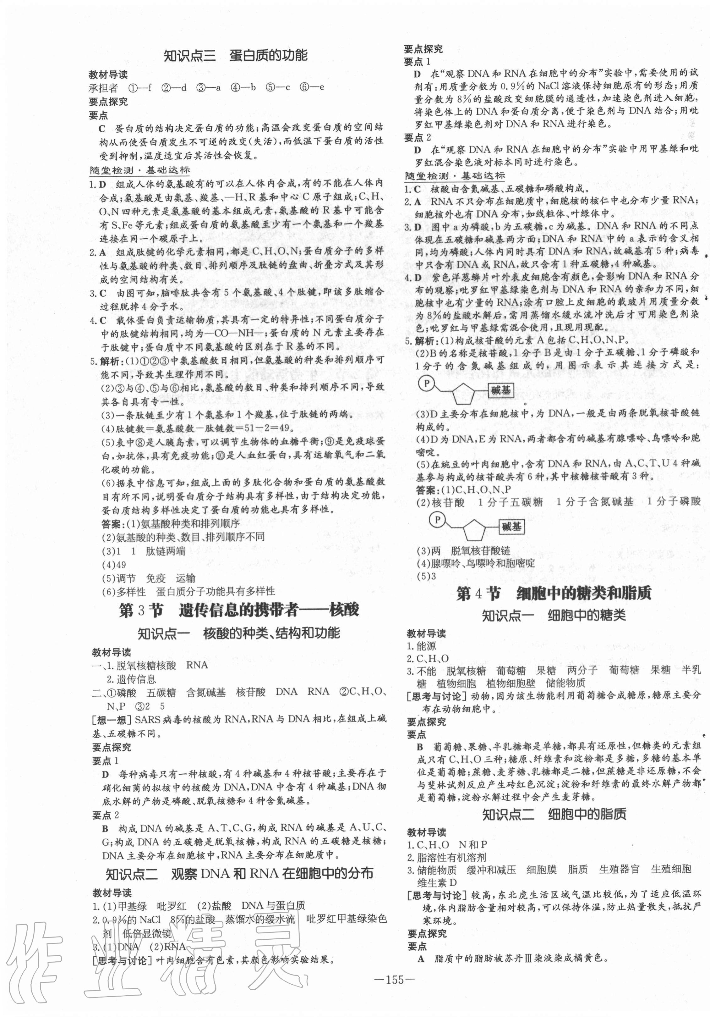 2020年高中全程学习导与练生物必修1分子与细胞人教版 第3页