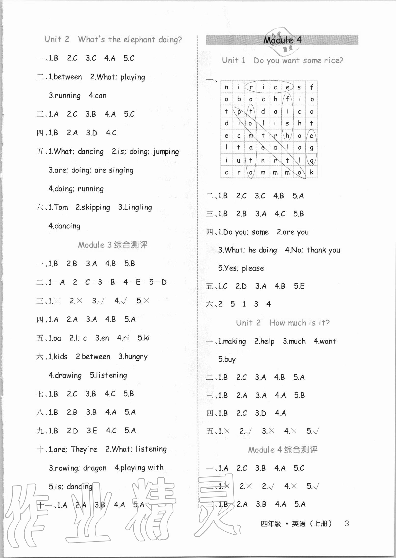 2020年細(xì)解巧練四年級(jí)英語(yǔ)上冊(cè)魯科版54制 第3頁(yè)