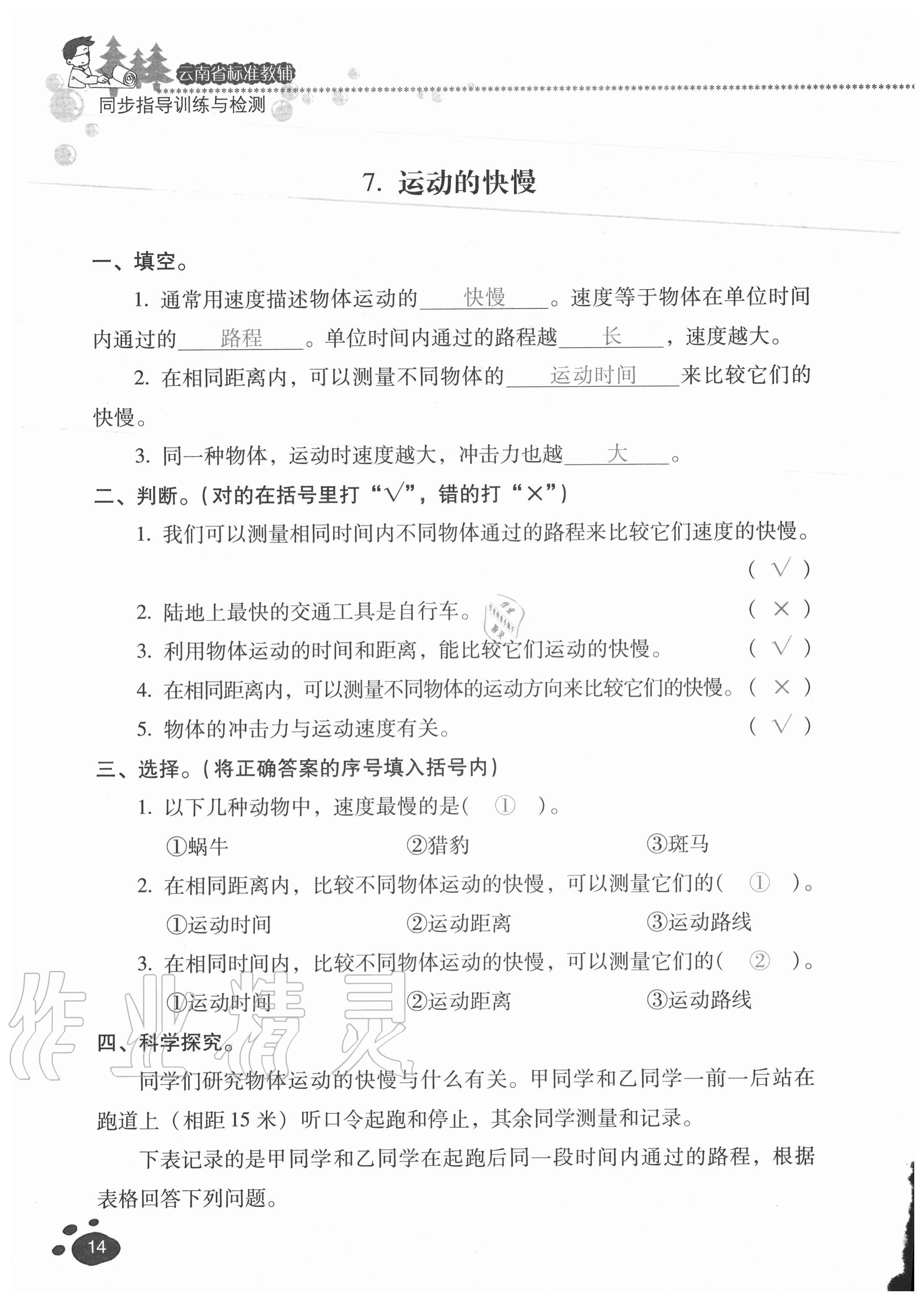 2020年云南省標(biāo)準(zhǔn)教輔同步指導(dǎo)訓(xùn)練與檢測四年級科學(xué)上冊蘇教版 參考答案第13頁