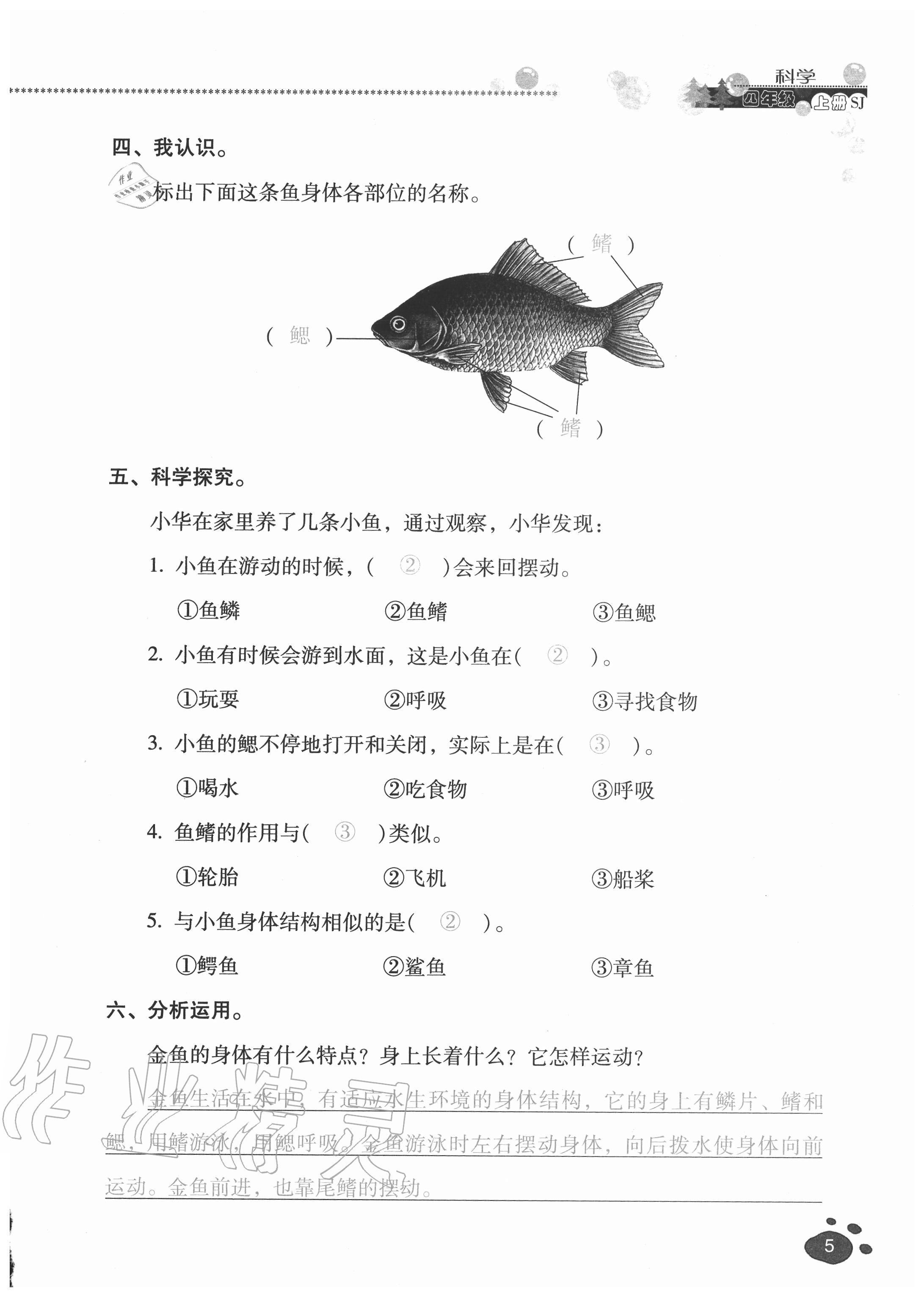 2020年云南省標(biāo)準(zhǔn)教輔同步指導(dǎo)訓(xùn)練與檢測(cè)四年級(jí)科學(xué)上冊(cè)蘇教版 參考答案第4頁