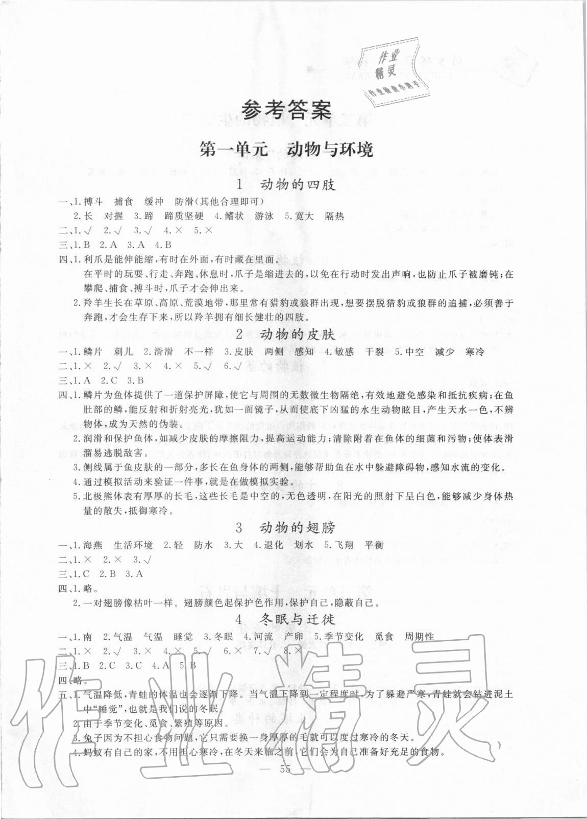 2020年同步练习册三年级科学上册青岛版山东科学技术出版社 参考答案