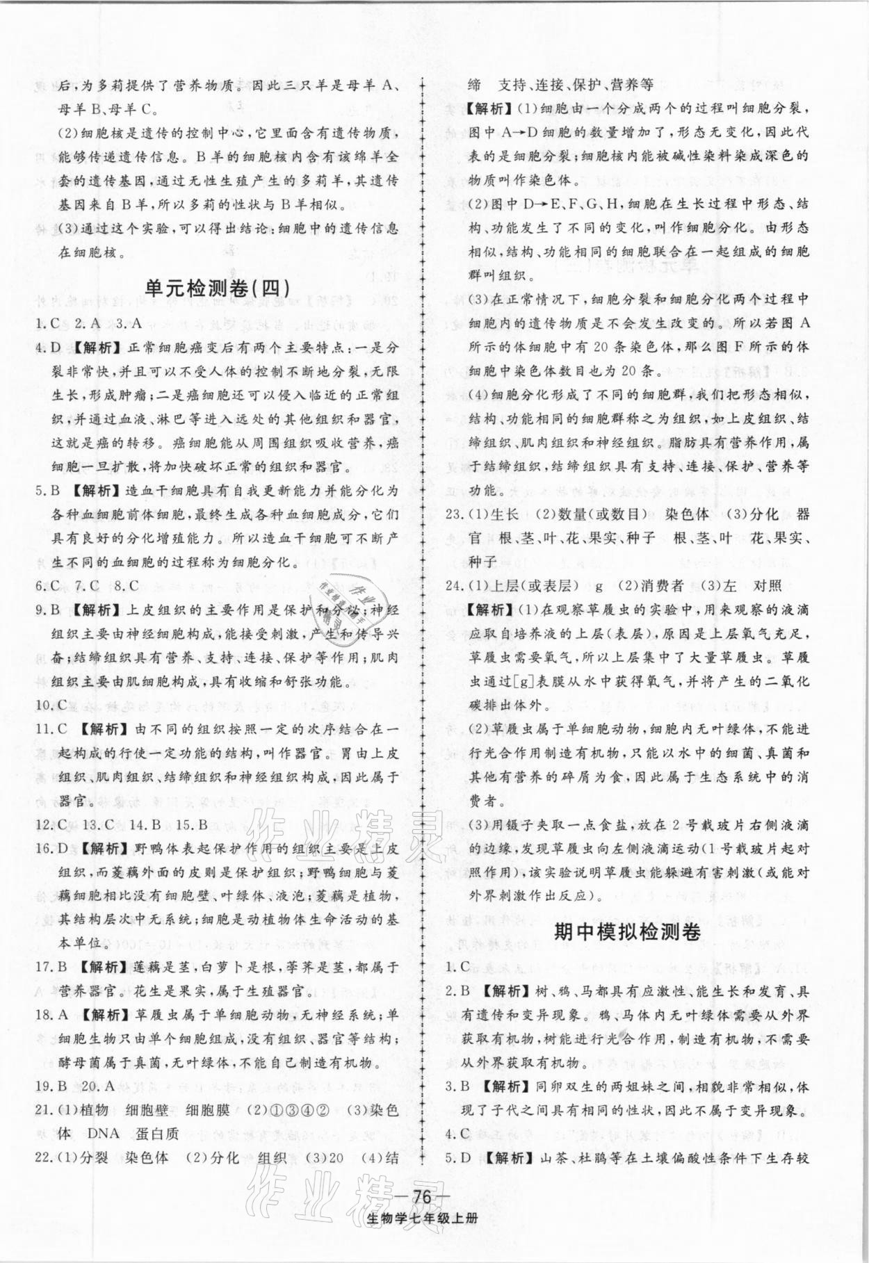 2020年同步練習(xí)冊配套單元檢測卷七年級生物學(xué)上冊人教版 第4頁