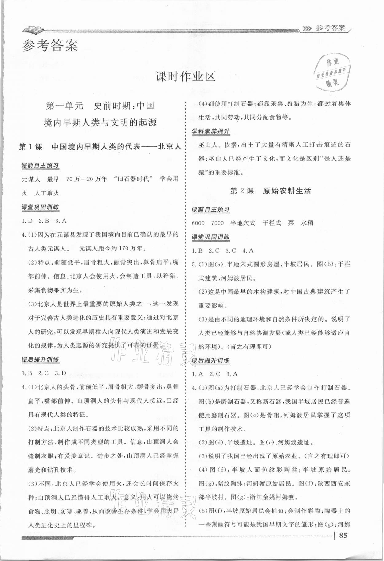 2020年标准课堂高效作业七年级历史上册人教版