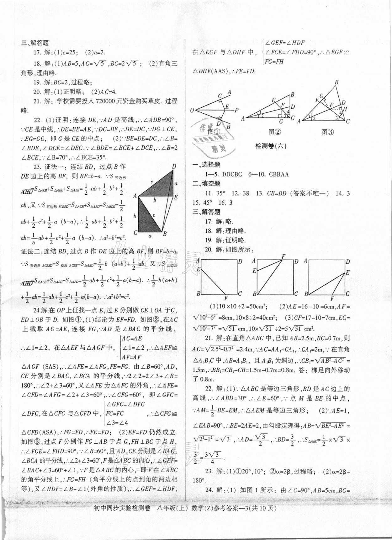 2020年初中同步實驗檢測卷八年級數(shù)學(xué)上冊浙教版 第3頁