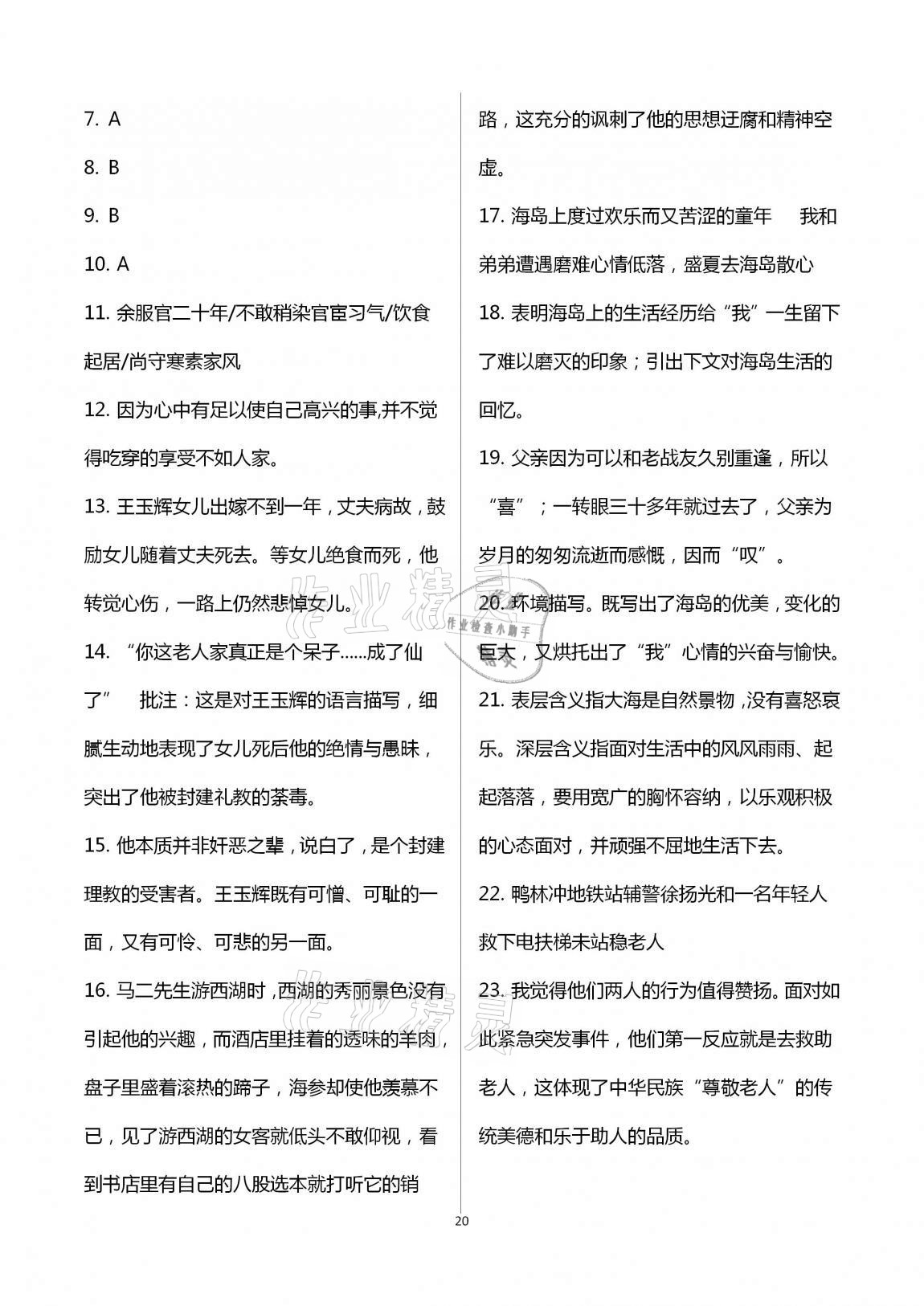 2020年學業(yè)水平評價九年級全一冊長江出版社 第20頁