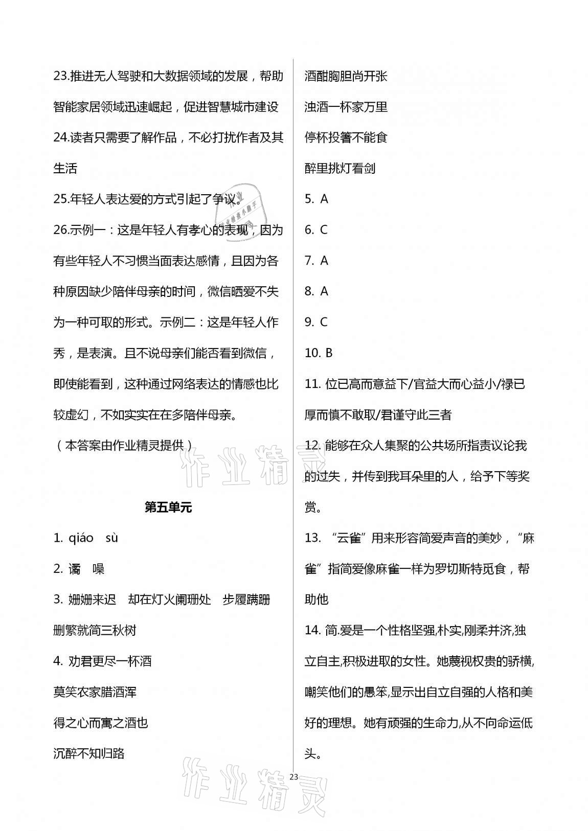 2020年學(xué)業(yè)水平評(píng)價(jià)九年級(jí)全一冊(cè)長(zhǎng)江出版社 第23頁