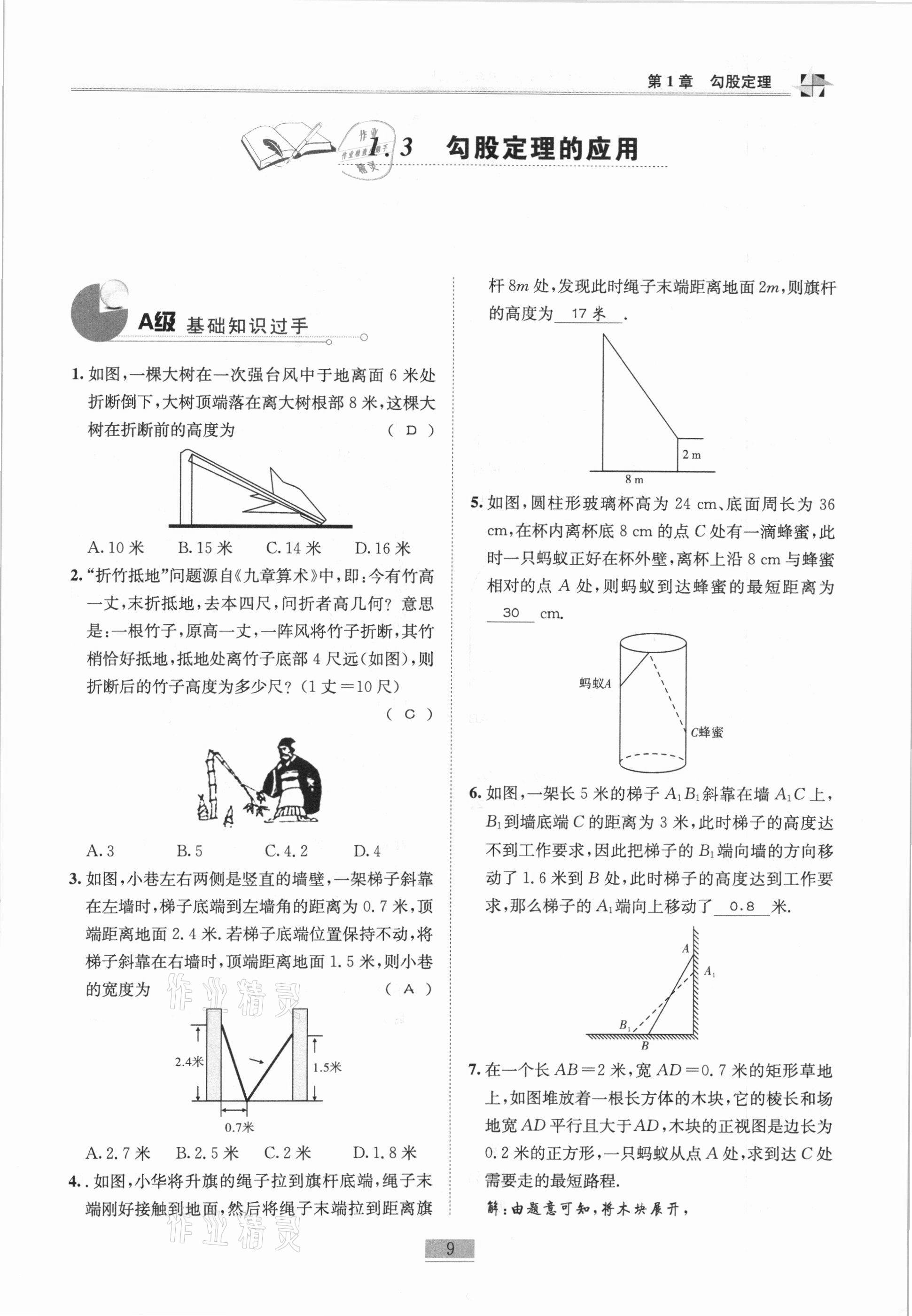 2020年名师课堂课时优化精讲精练八年级数学上册北师大版 参考答案第9页