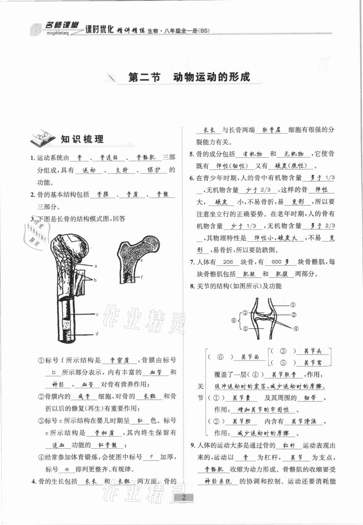 2020年名师课堂课时优化精讲精练八年级生物全一册北师大版 第2页