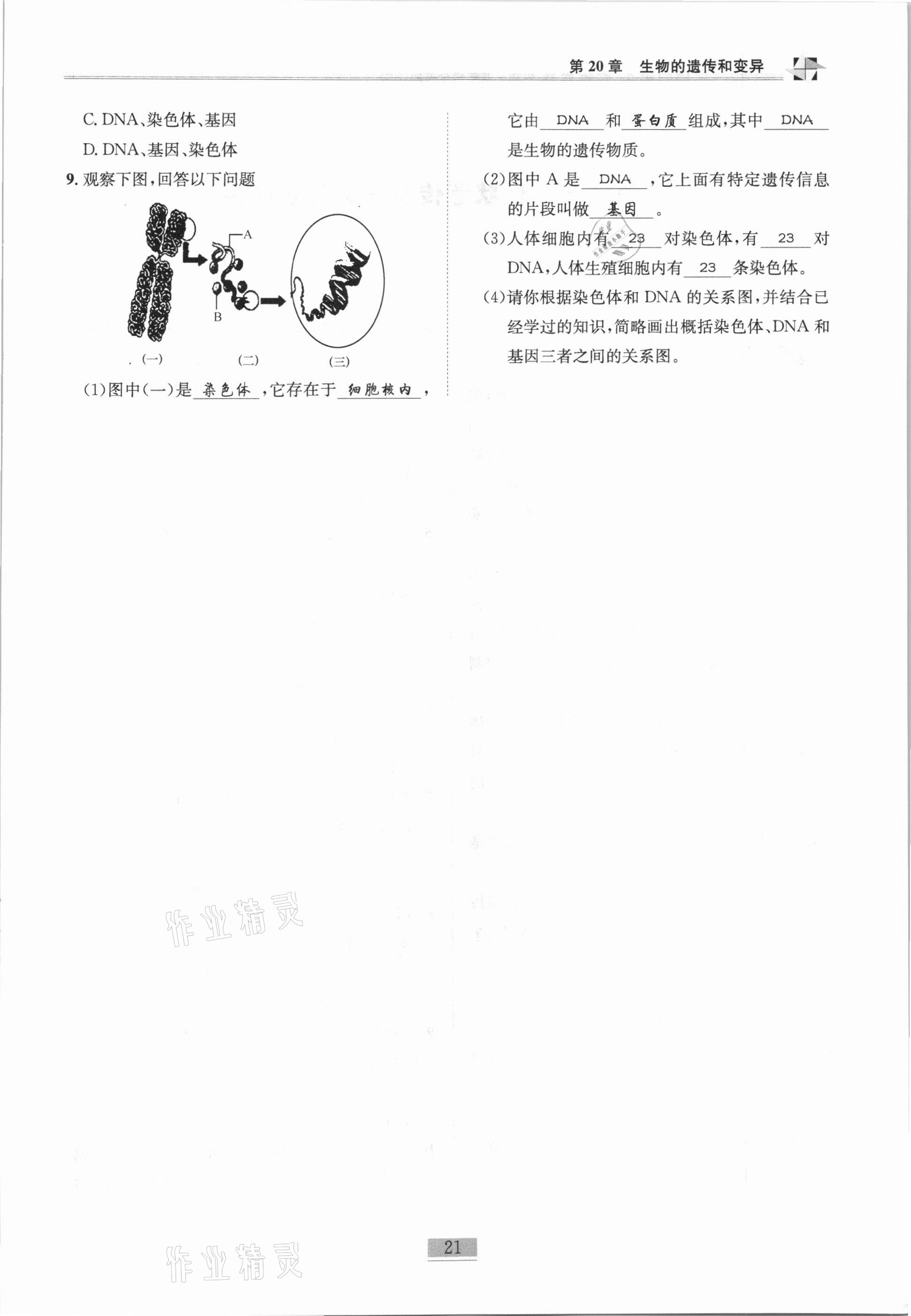 2020年名师课堂课时优化精讲精练八年级生物全一册北师大版 第21页