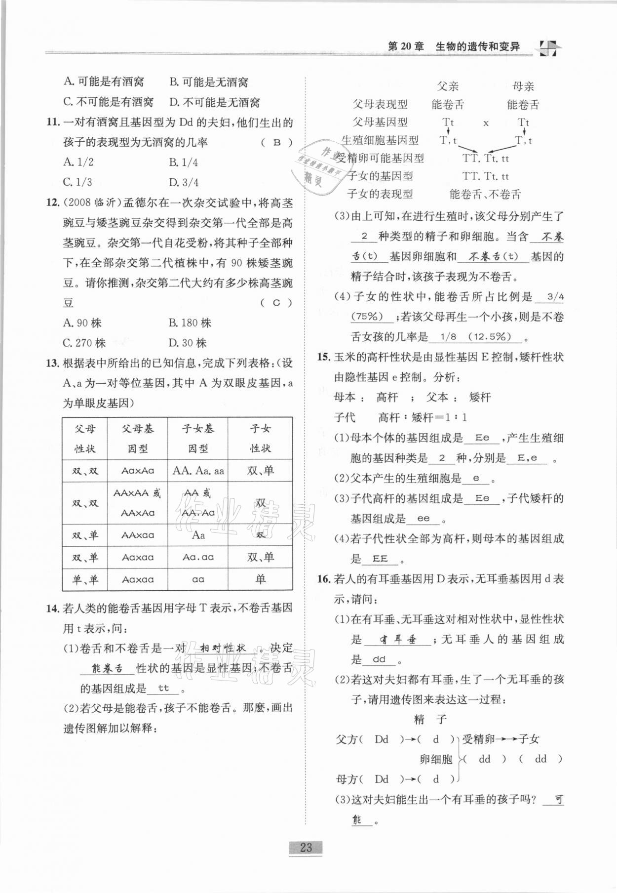 2020年名师课堂课时优化精讲精练八年级生物全一册北师大版 第23页