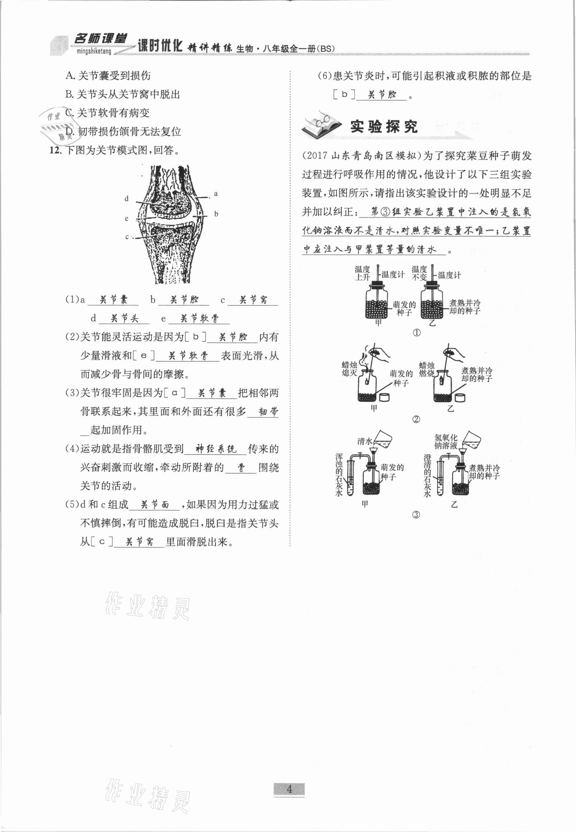 2020年名师课堂课时优化精讲精练八年级生物全一册北师大版 第4页