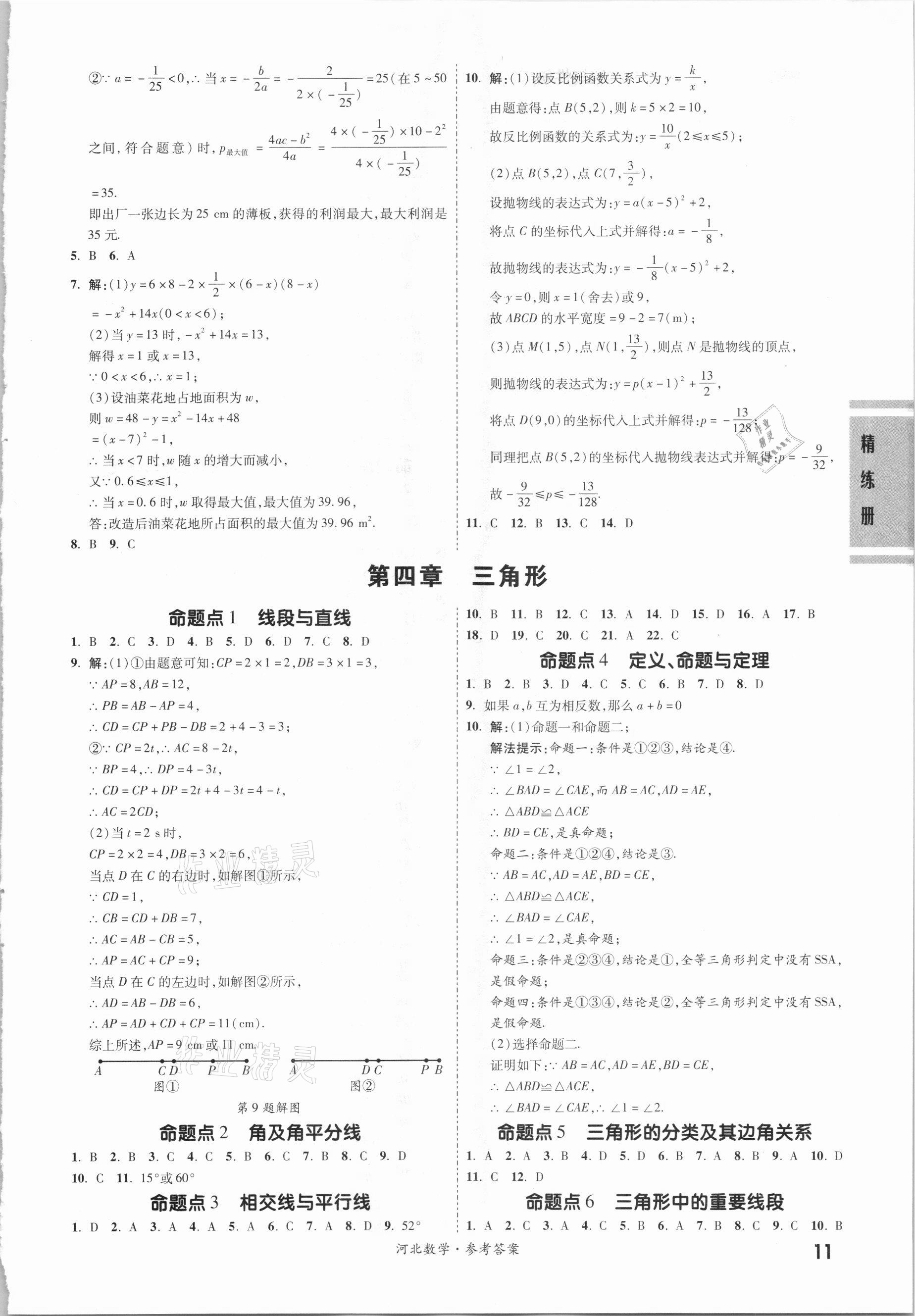 2021年一战成名考前新方案数学河北专用 第11页