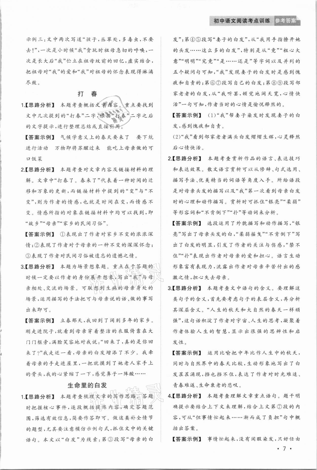 2020年初中语文阅读考点训练中考 第7页