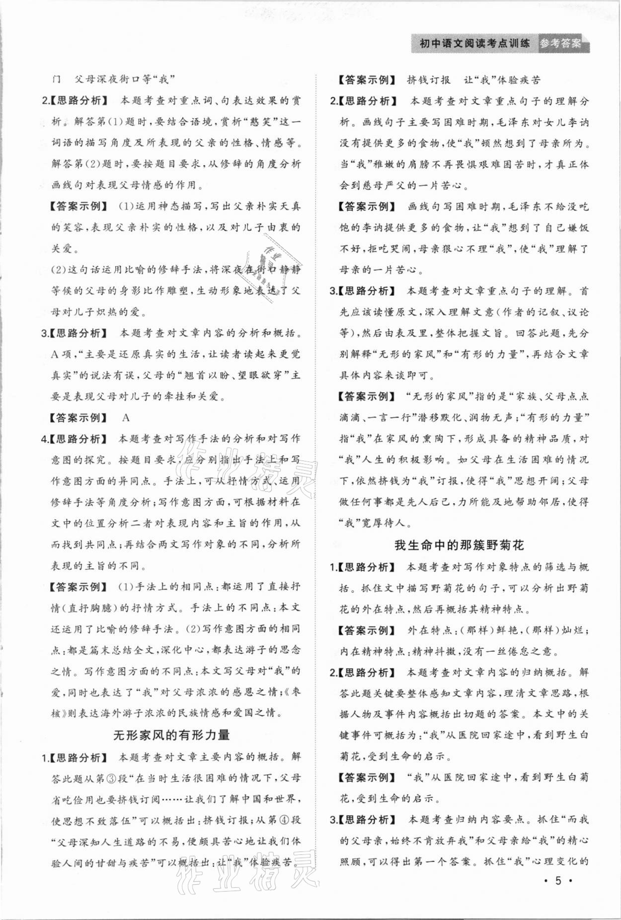 2020年初中语文阅读考点训练中考 第5页