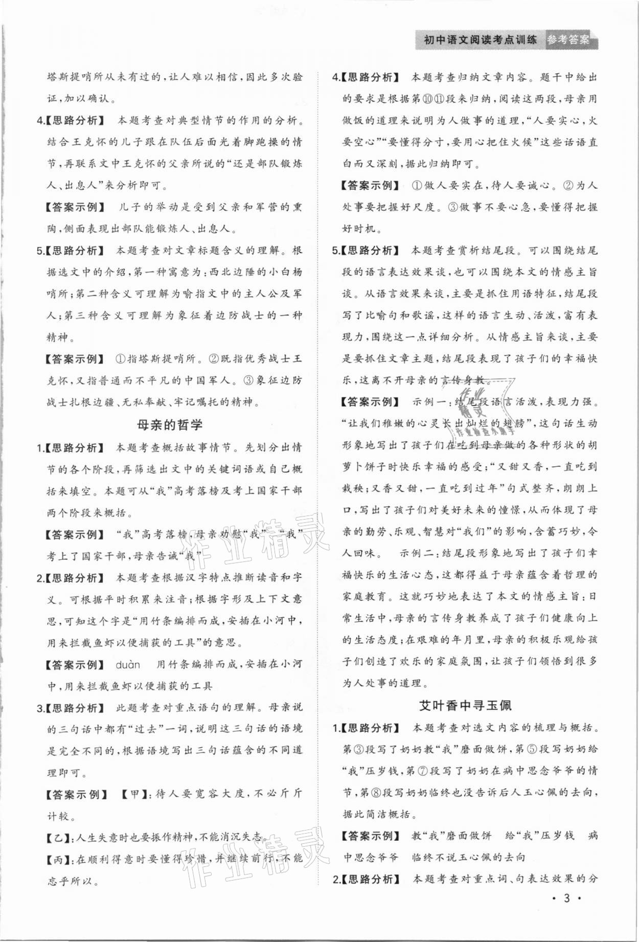 2020年初中语文阅读考点训练中考 第3页