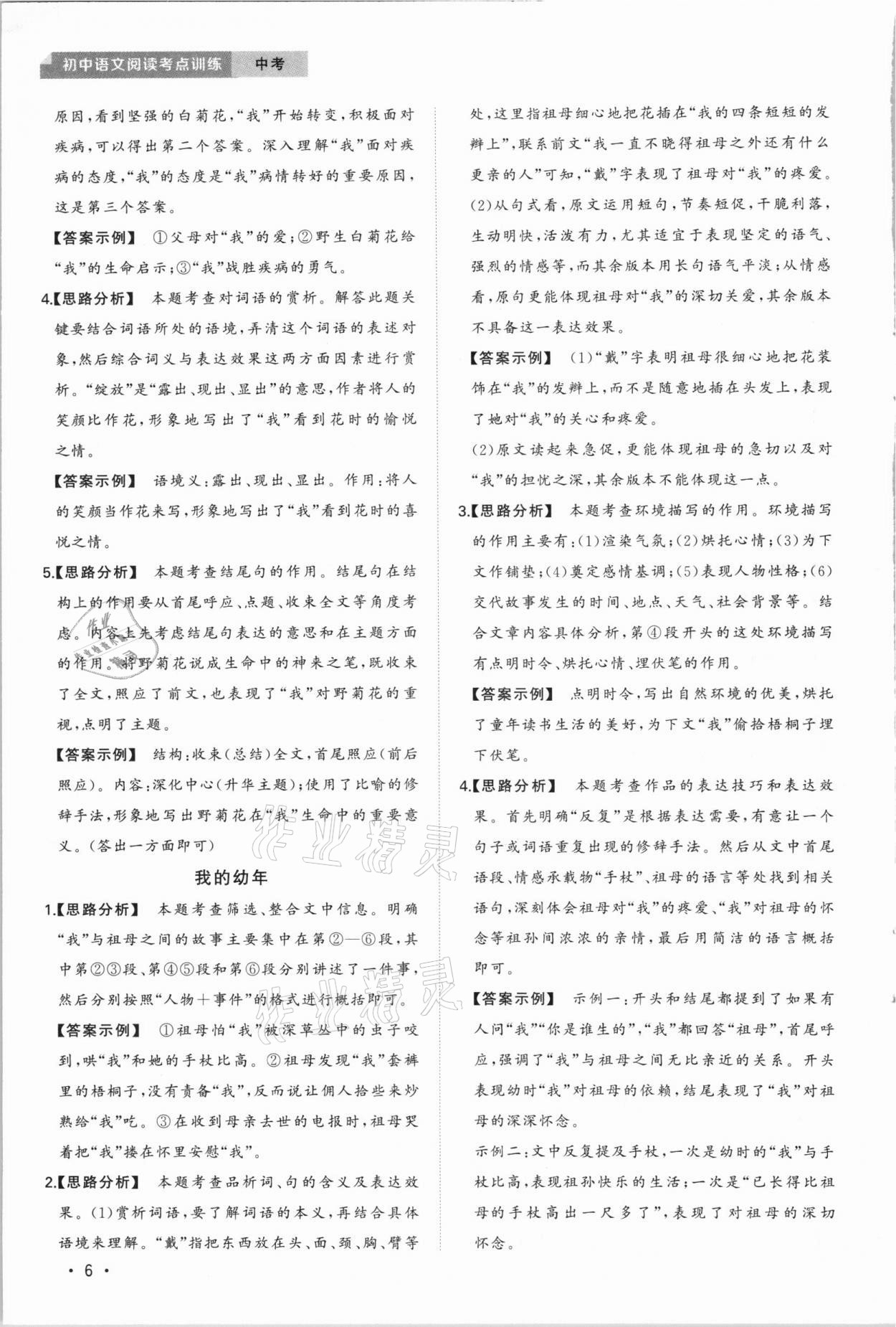 2020年初中语文阅读考点训练中考 第6页