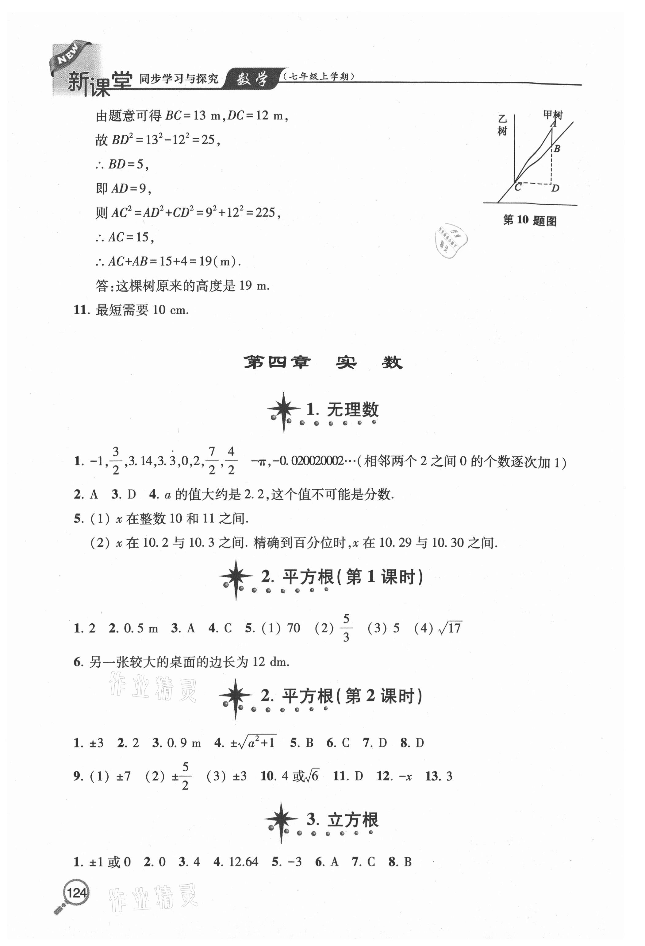 2020年新课堂同步学习与探究七年级数学上学期鲁教版五四制 参考答案第9页