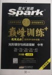 2021年星火英语Spark巅峰训练完形填空与阅读理解中考江苏专用