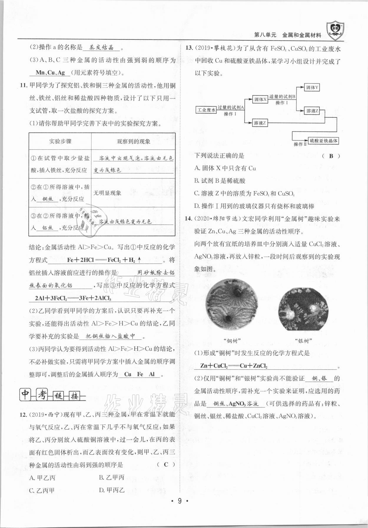 2021年指南针导学探究九年级化学下册人教版 第9页