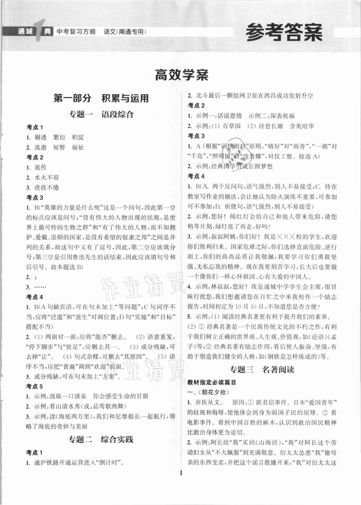 2021年通城学典通城1典中考复习方略语文南通专用 第1页