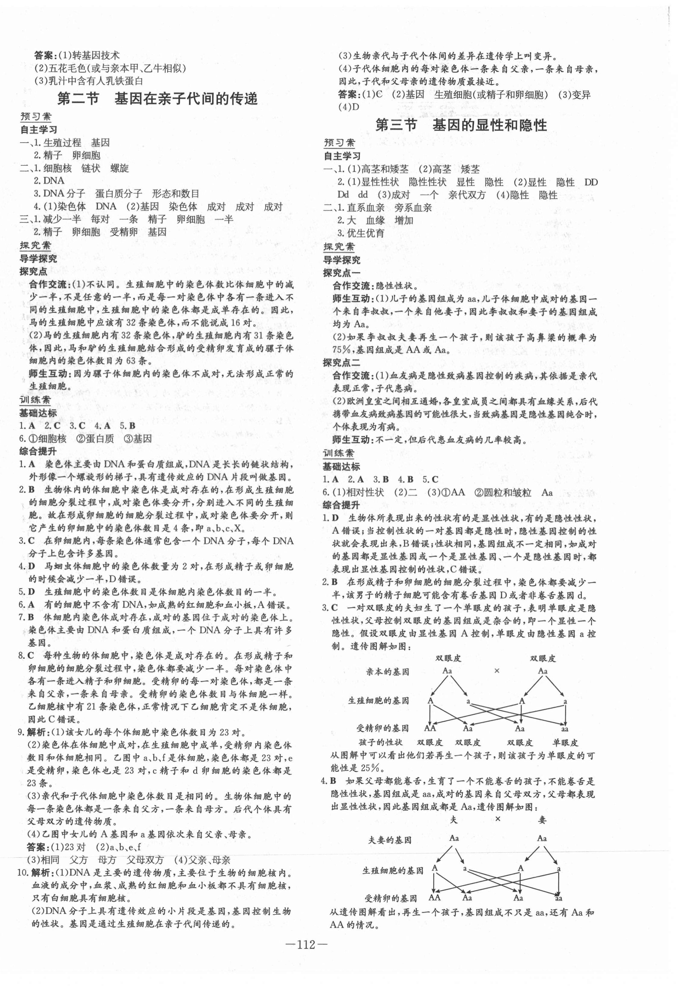 2021年初中同步学习导与练导学探究案八年级生物下册人教版 第4页