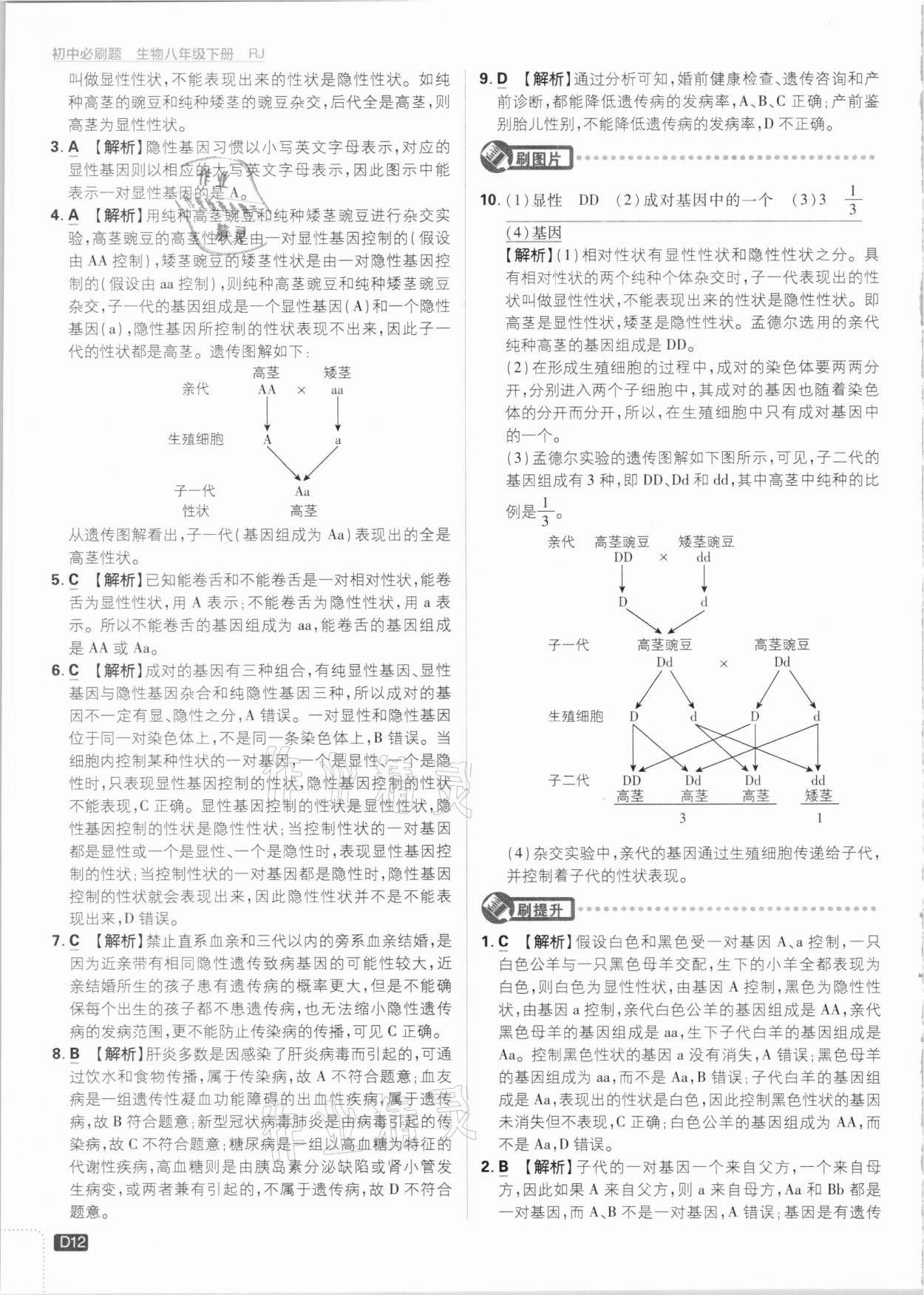 2021年初中必刷題八年級生物下冊人教版 參考答案第12頁