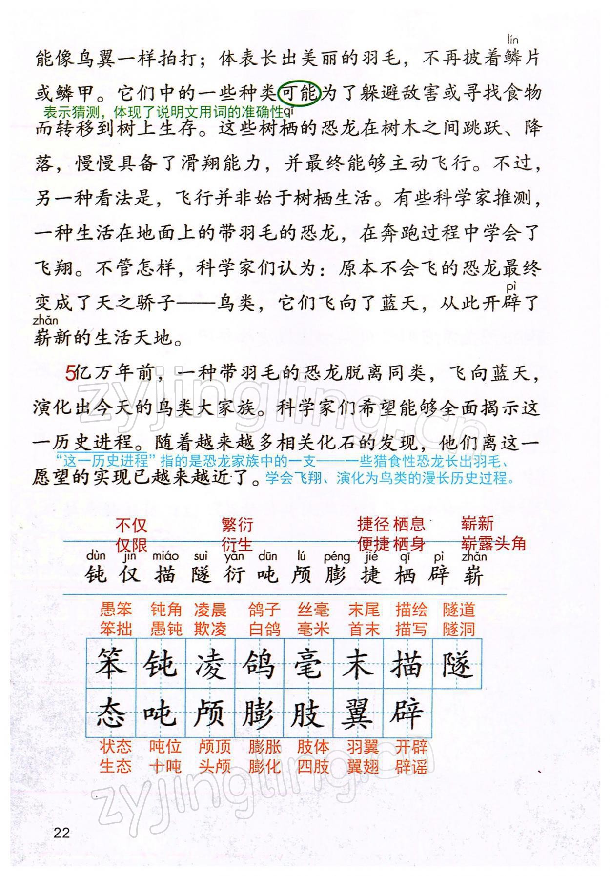 2022年教材课本四年级语文下册人教版 参考答案第22页