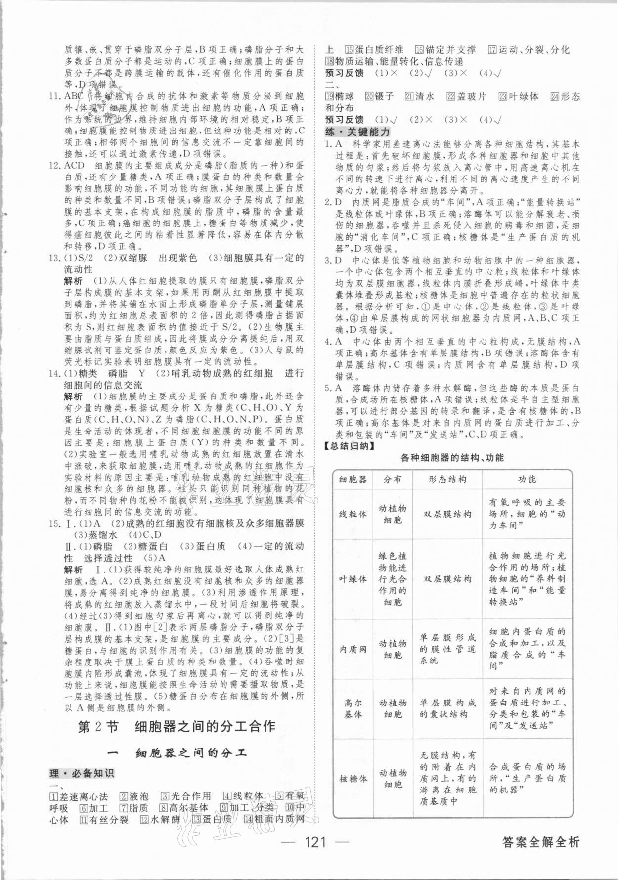 2020年绿色通道45分钟课时作业与单元测评高中生物学必修第一册人教版 参考答案第12页