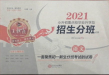 2021年王朝霞小升初重点校毕业升学及招生分班语文