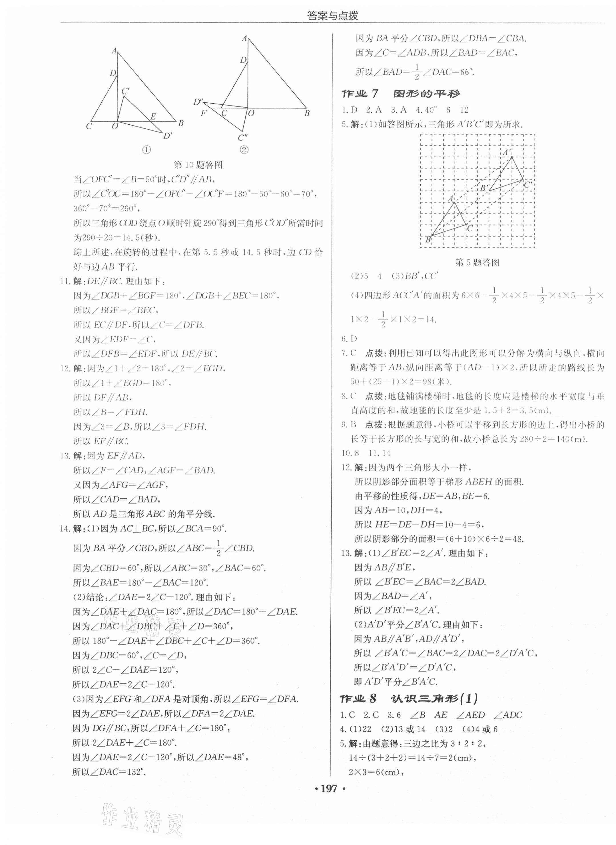 2021年啟東中學作業(yè)本七年級數(shù)學下冊江蘇版徐州專版 第3頁