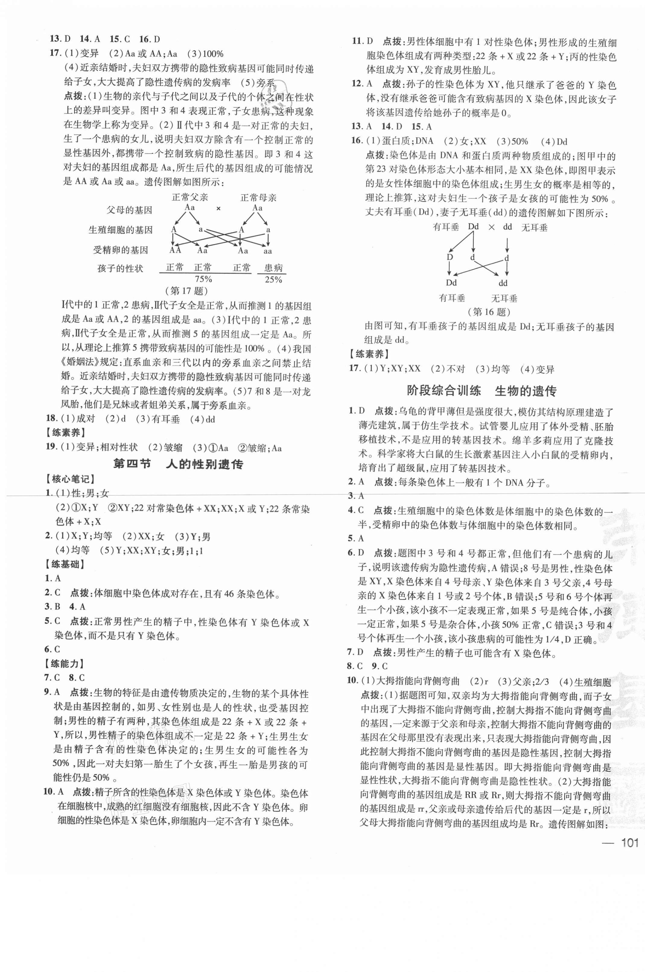 2021年點(diǎn)撥訓(xùn)練八年級(jí)生物下冊(cè)人教版 參考答案第5頁(yè)