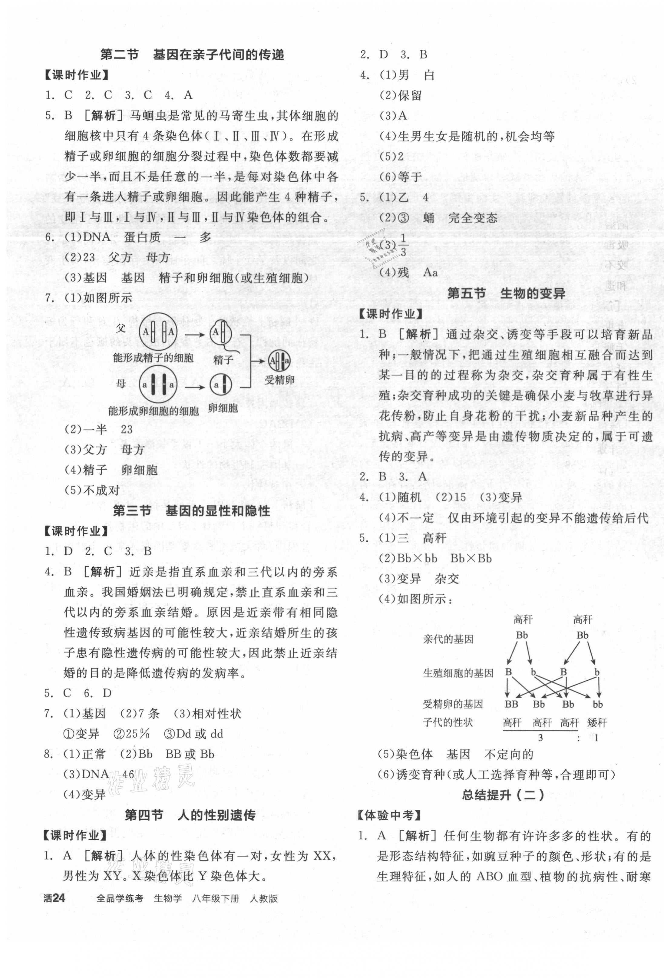 2021年全品學(xué)練考八年級生物下冊人教版 第3頁