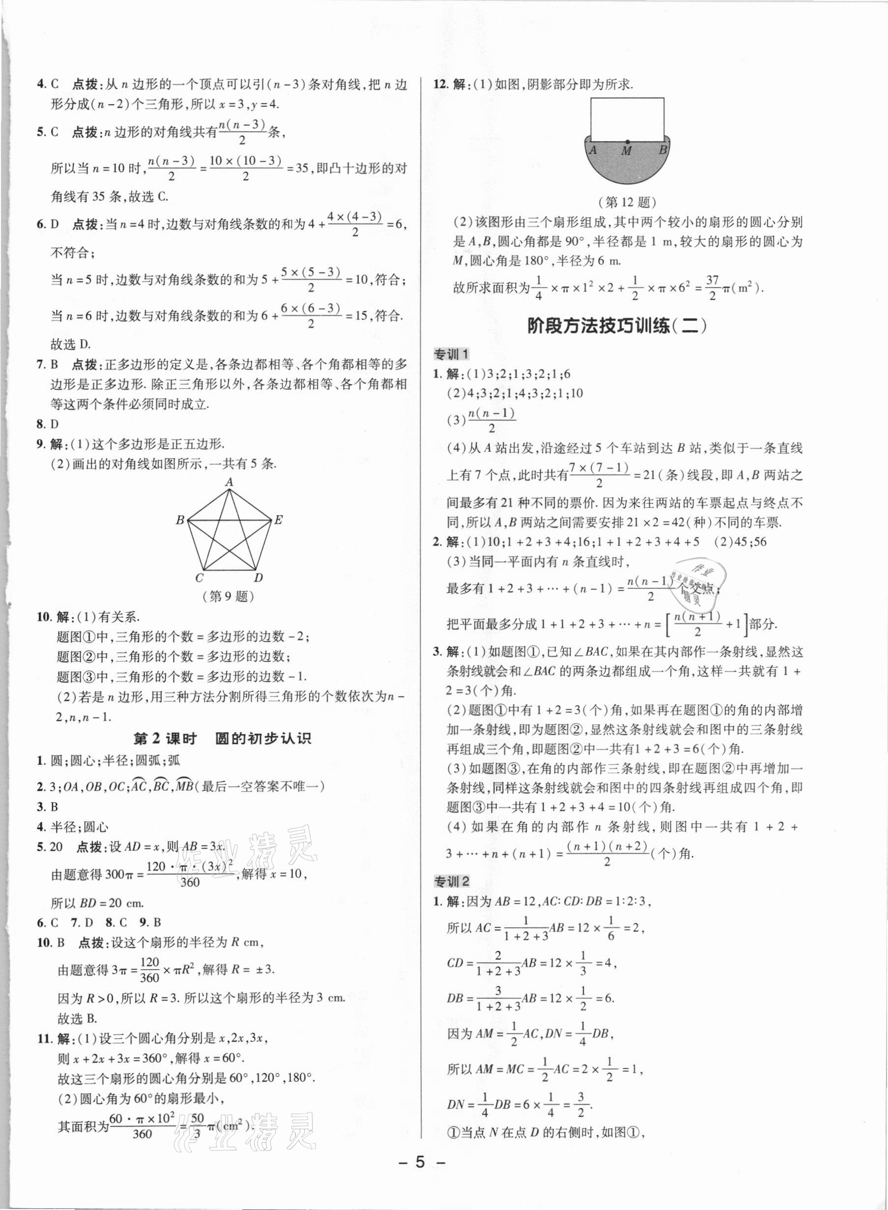 2021年綜合應(yīng)用創(chuàng)新題典中點(diǎn)六年級數(shù)學(xué)下冊魯教版54制 參考答案第4頁