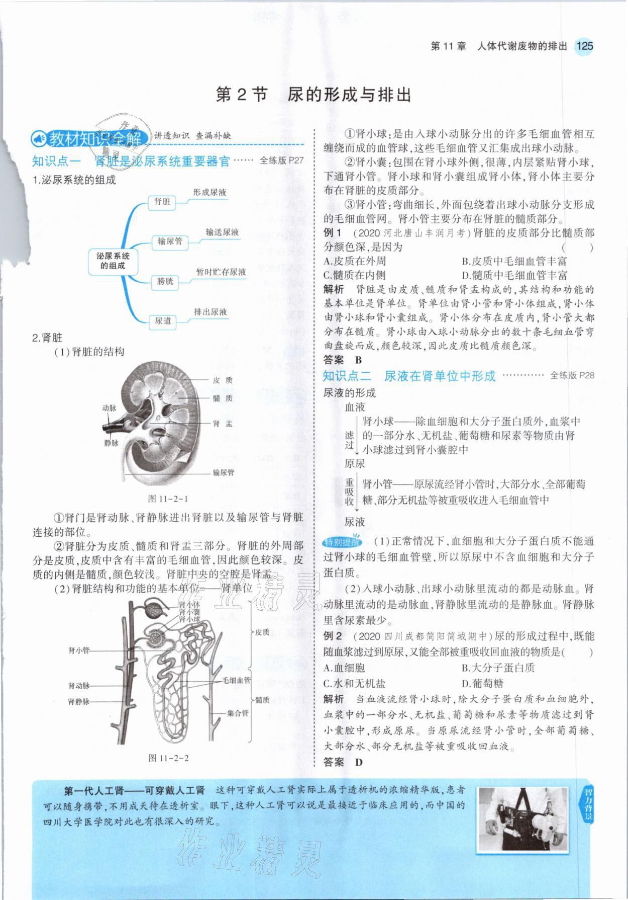 2021年教材課本七年級生物下冊北師大版 參考答案第7頁