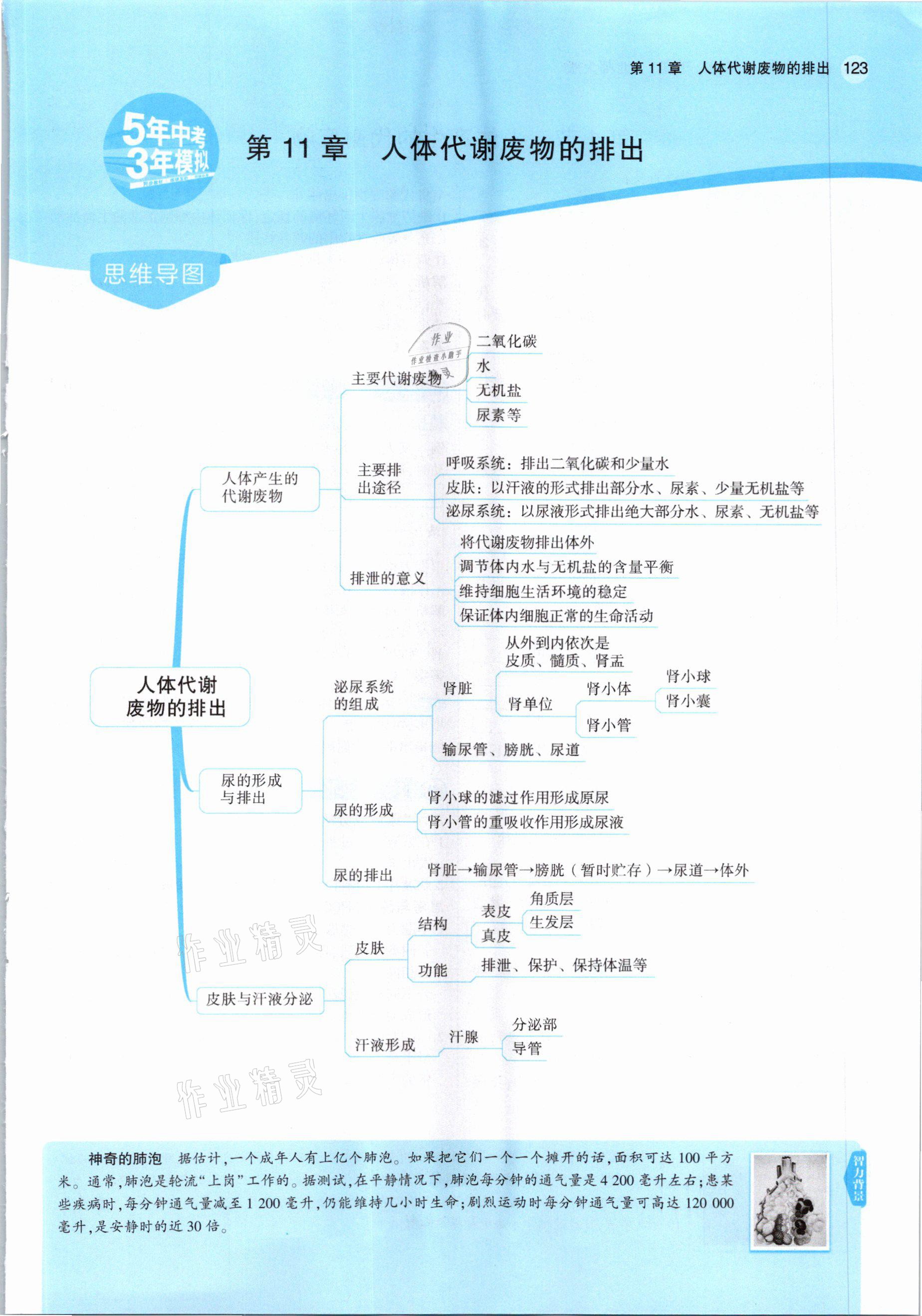 2021年教材课本七年级生物下册北师大版 参考答案第5页