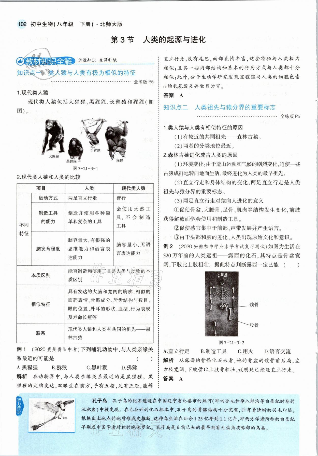 2021年教材課本八年級(jí)生物下冊(cè)北師大版 參考答案第8頁