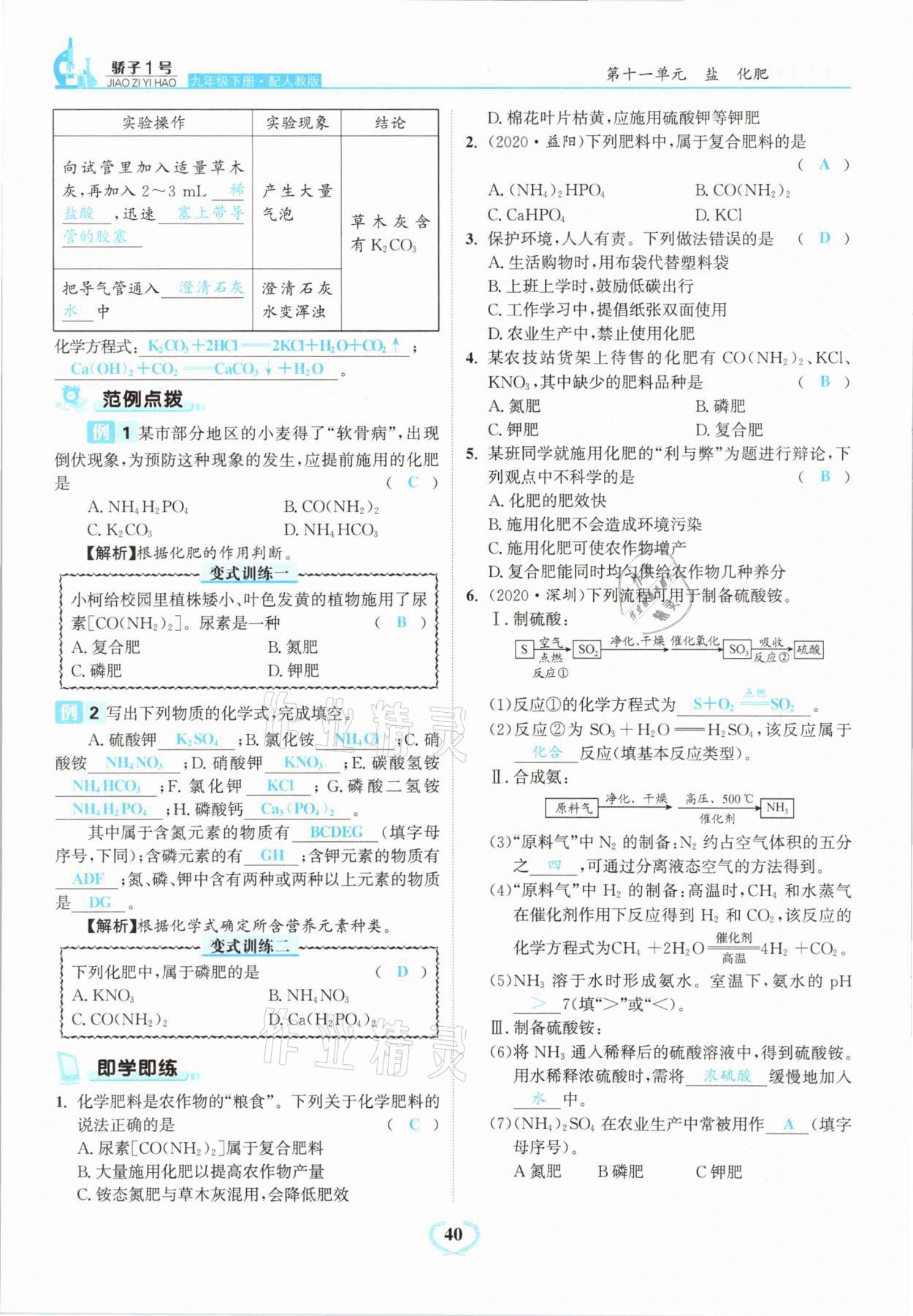 2021年骄子1号九年级化学下册人教版 第40页