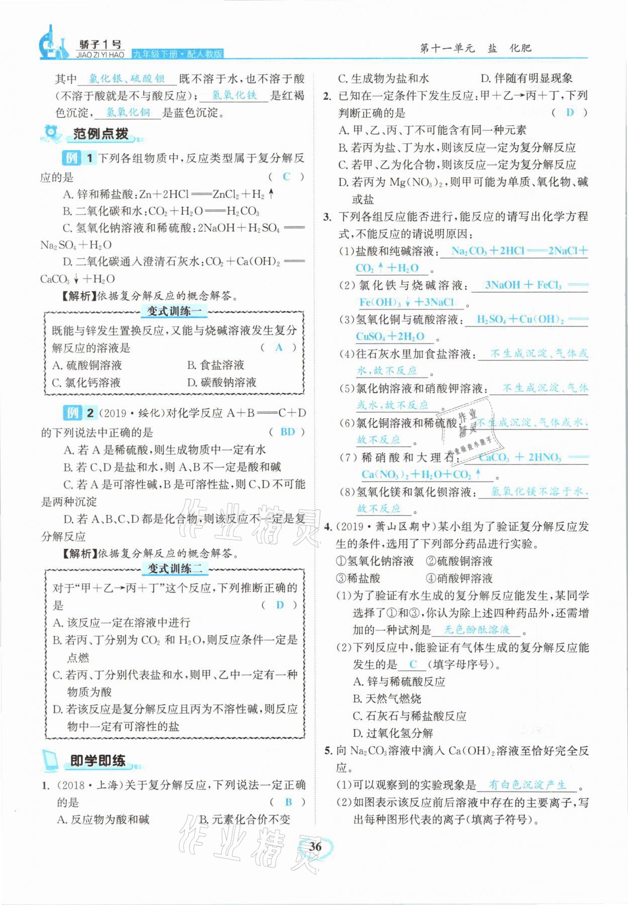 2021年骄子1号九年级化学下册人教版 第36页