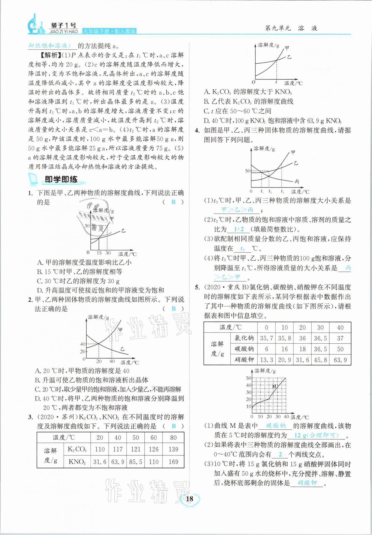 2021年骄子1号九年级化学下册人教版 第18页