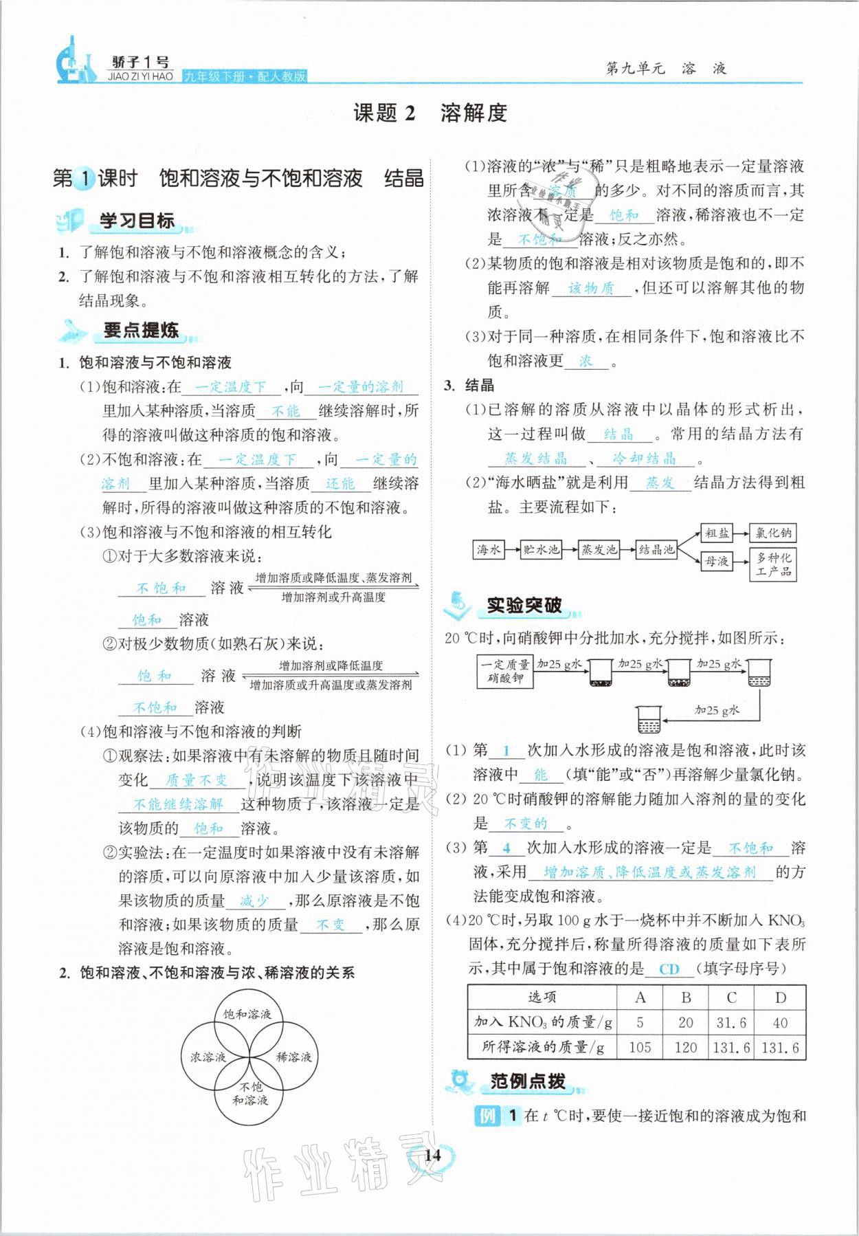 2021年骄子1号九年级化学下册人教版 第14页