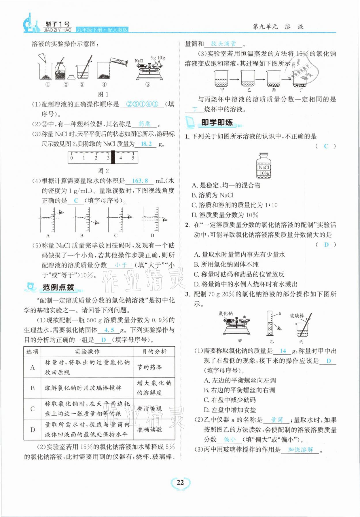 2021年骄子1号九年级化学下册人教版 第22页