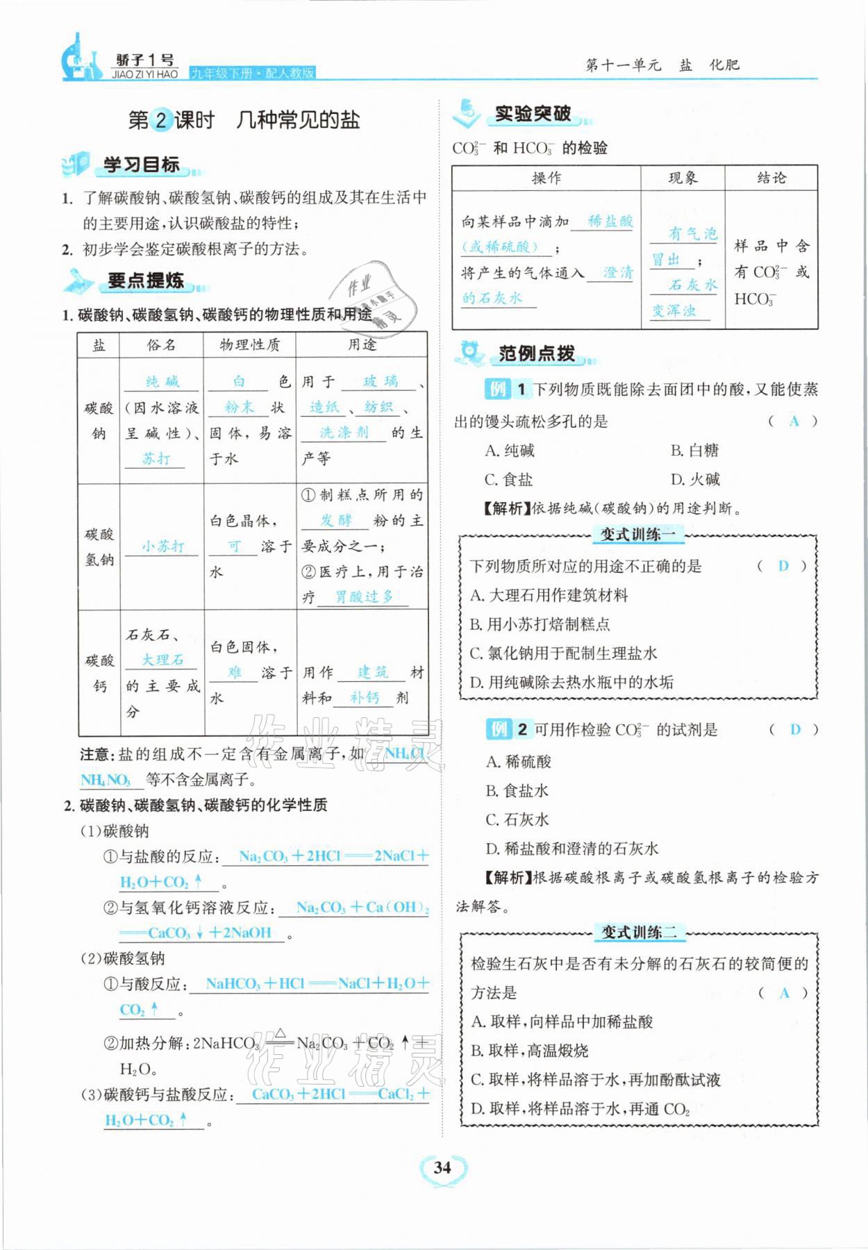 2021年骄子1号九年级化学下册人教版 第34页