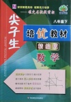 2021年尖子生培优教材八年级数学下册浙教版精编版