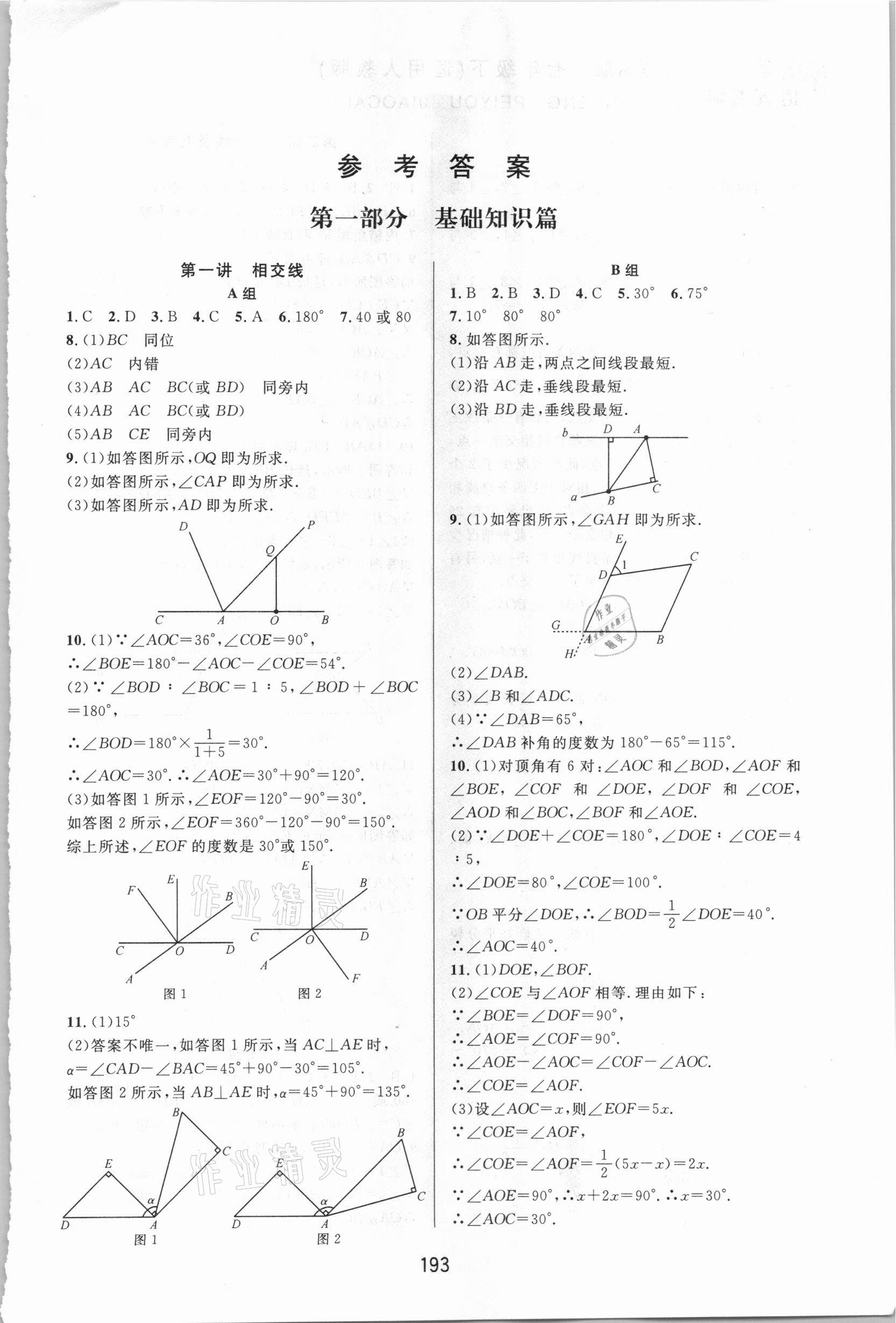 2021年尖子生培優(yōu)教材七年級數(shù)學下冊人教版A版 第1頁